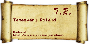 Temesváry Roland névjegykártya